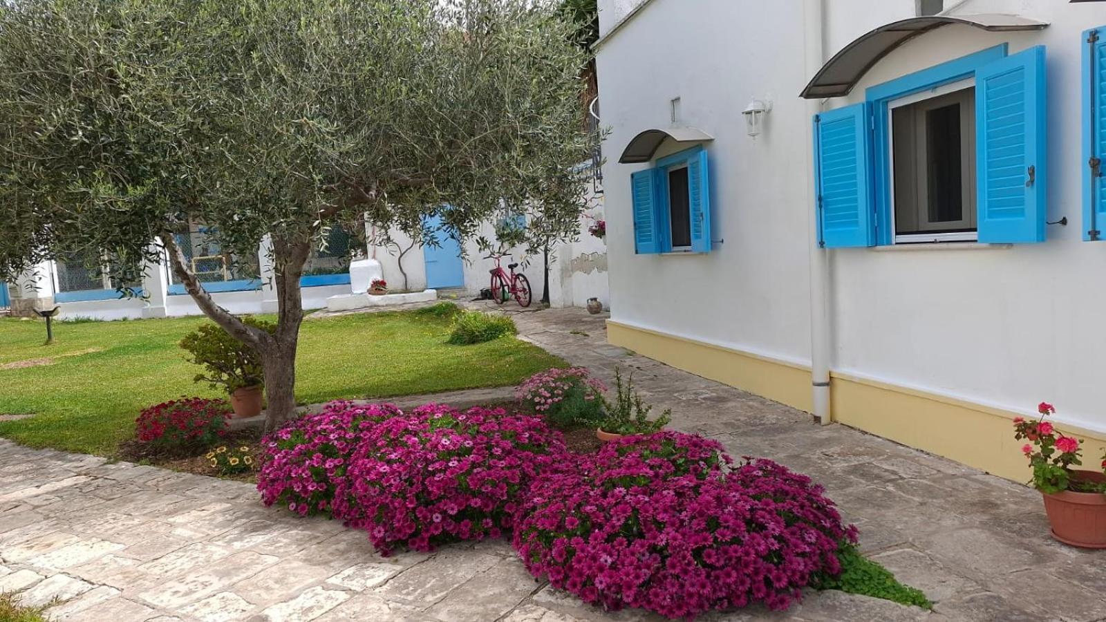 Villino Tronchetto Bianco Mola di Bari Exterior foto