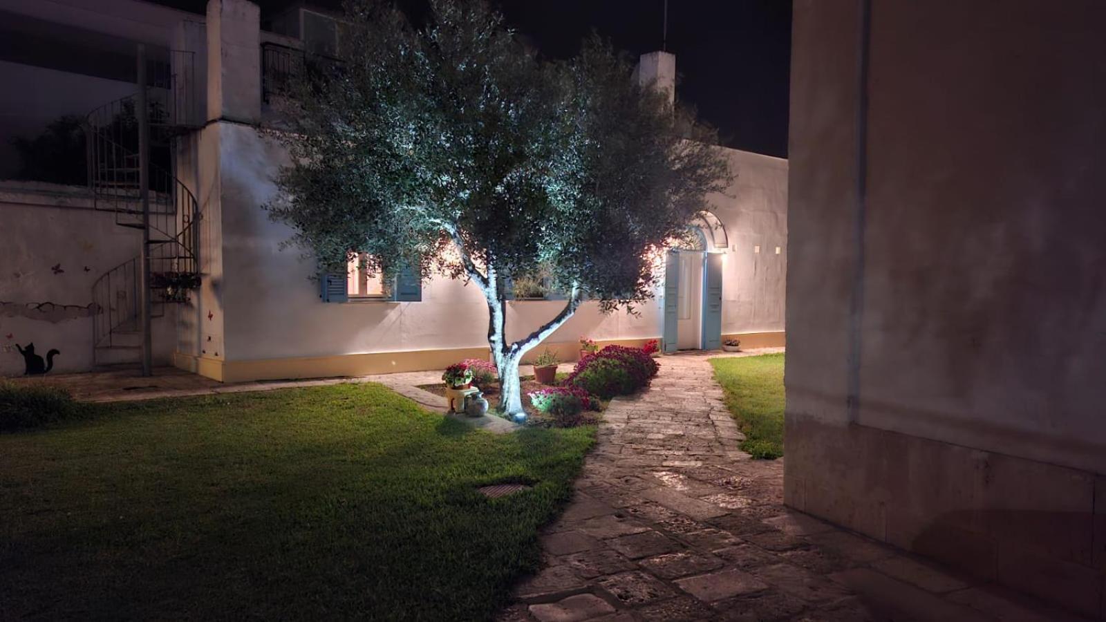 Villino Tronchetto Bianco Mola di Bari Exterior foto